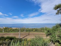 Амурский залив. Район о.п. Моргородок. 28.09.2021 г.